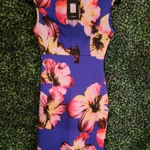 Fashion nova dress